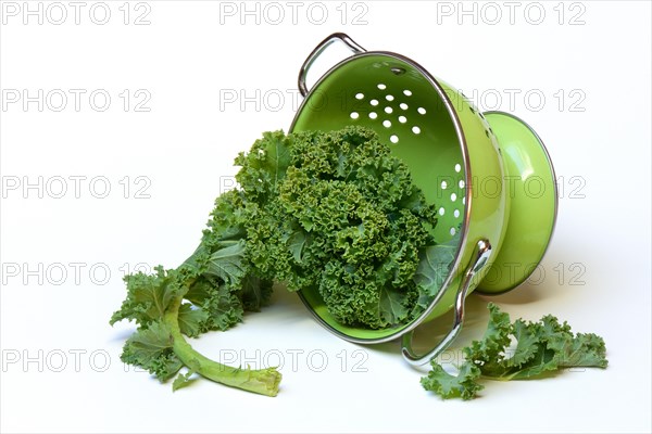 Brassica oleracea in draining sieve