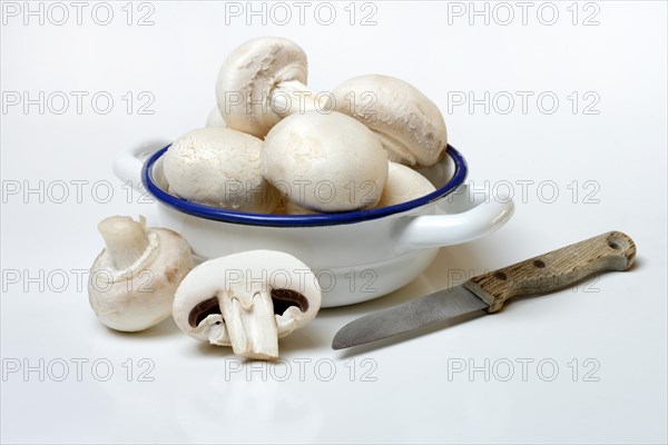 Mushrooms