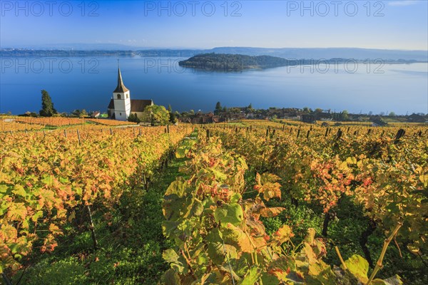 Ligerz on Lake Biel