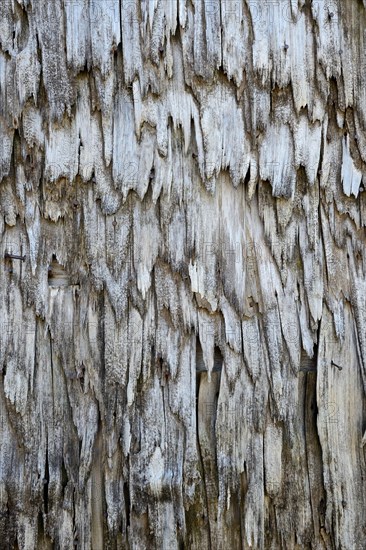 Weathered wood shingles