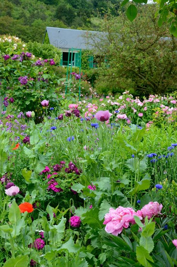 Monet Garden