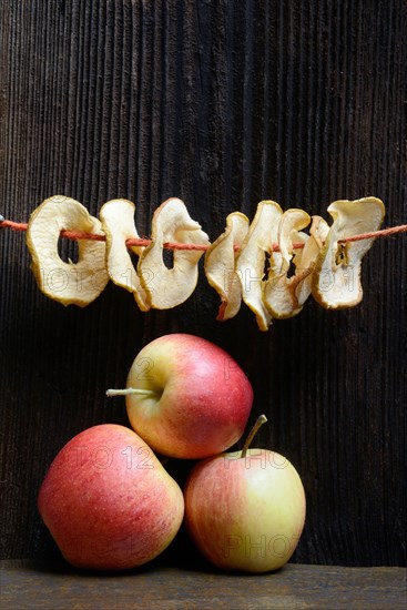 Dried apple slices