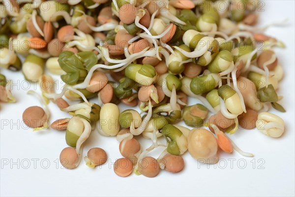 Mixed sprouts of lentils