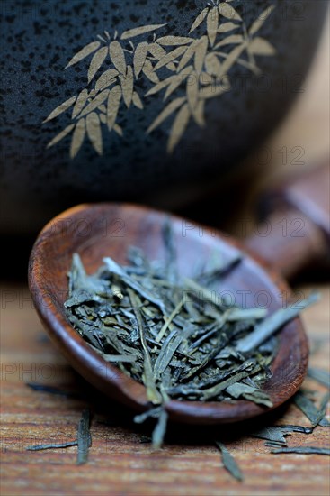 Japanese Sencha tea in wooden spoon