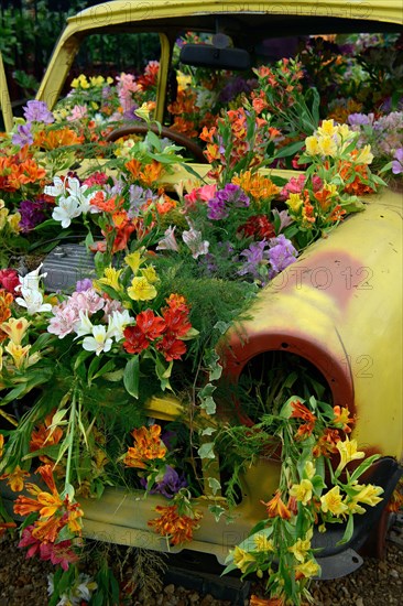 Flower decorated old car