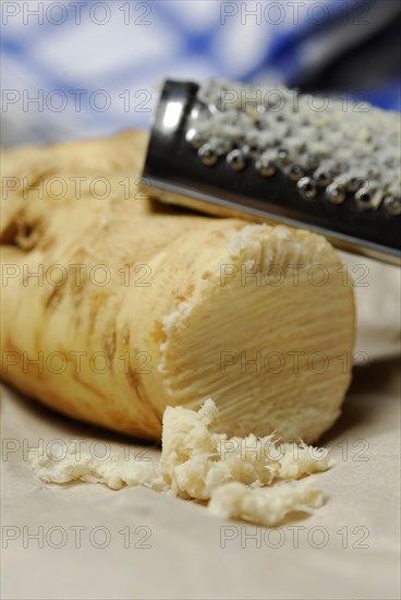 Grated Horseradish