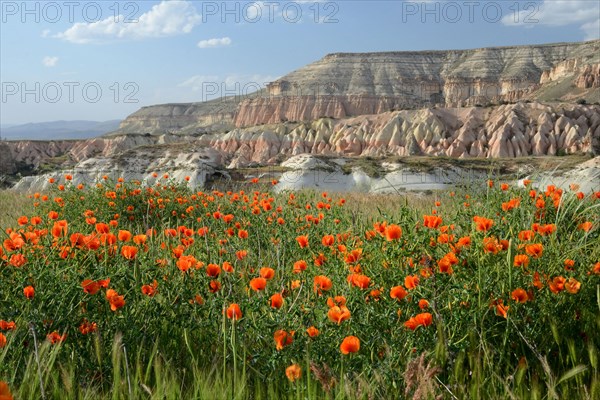 Tuff landscape