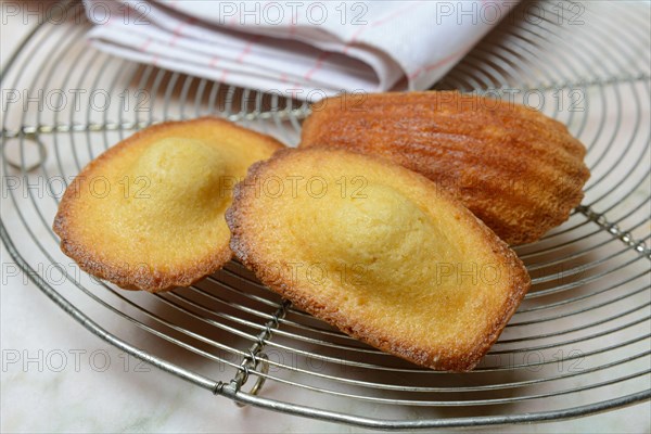 Madeleines on cake grid