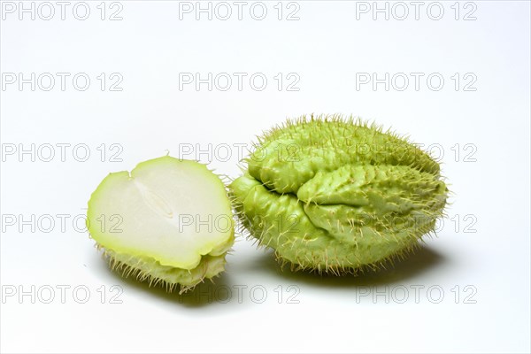 Chayote