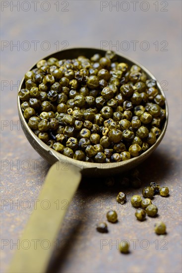 Green pepper in brass ladle