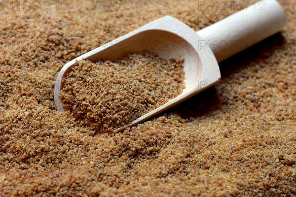 Coconut blossom sugar with shovel