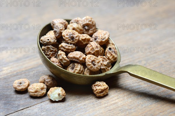 Tigernuts in ladle