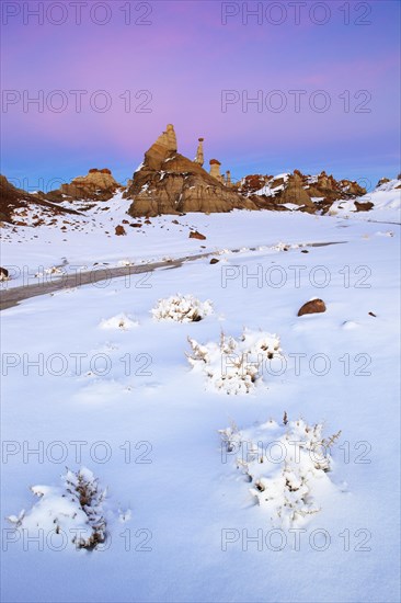 Bisti Badlands