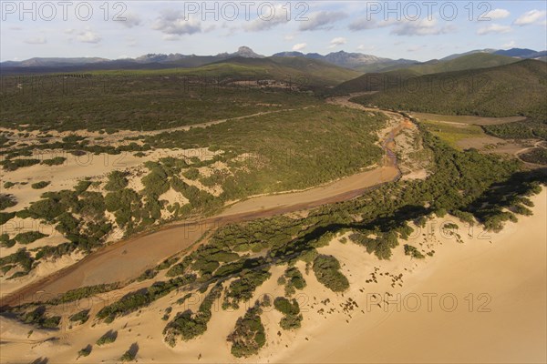 Sand dunes Dune di Piscinas