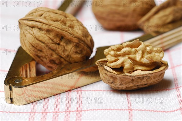 Walnut