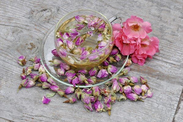 Rose tea in cup and rose buds