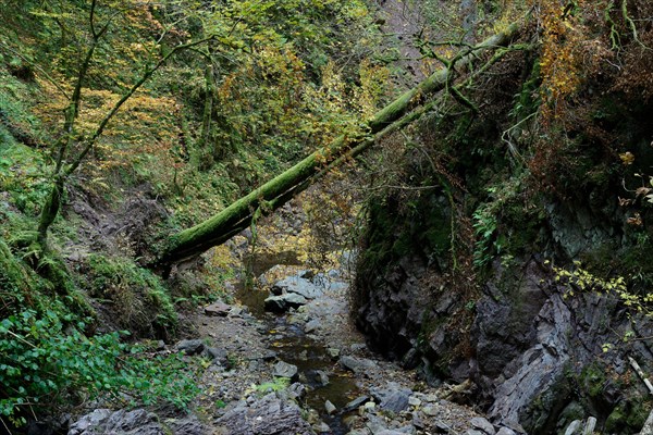 Wutach Gorge