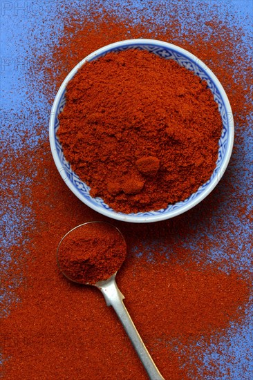 Paprika powder bowl and spoon