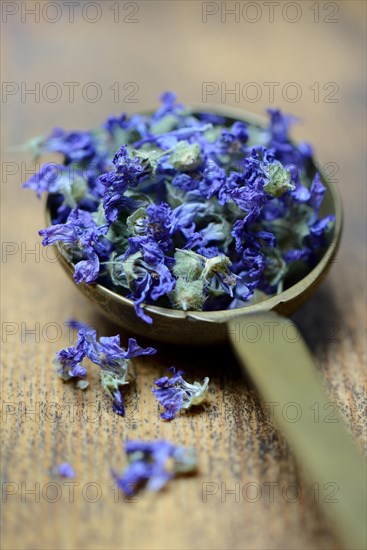 Dried mallow blossoms in scoop