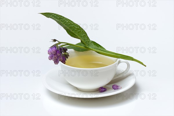 Cup of comfrey tea