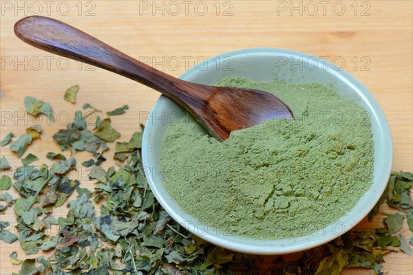 Moringa powder in bowl and moringa leaves