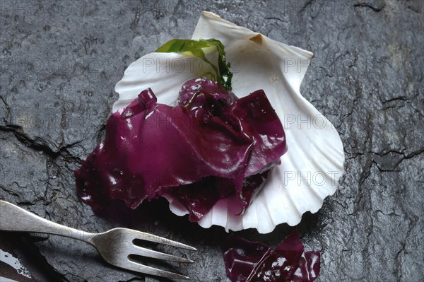 Red alga with sea salt in mussel shell and fork