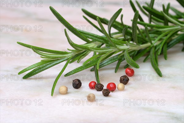 Rosemary and various peppercorns
