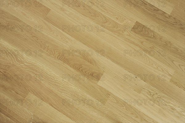 Parquet floor detail