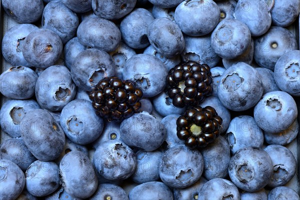 Blackberries and blueberries