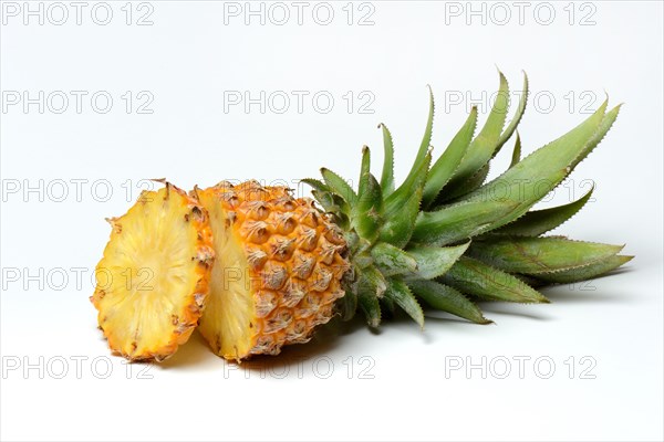 Truncated Pineapple