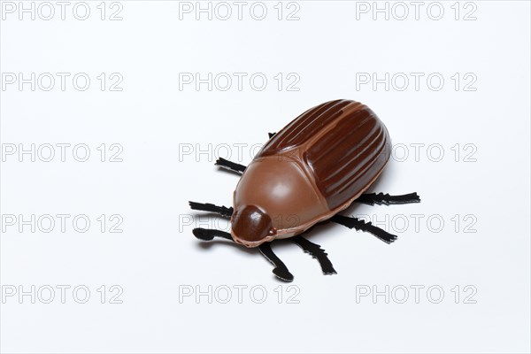 Chocolate ladybirds