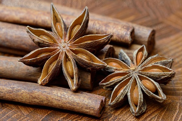 Fruit of star anise and cinnamon sticks