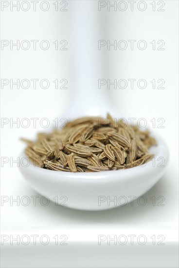 Caraway