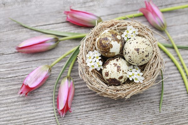 Natural Easter Decoration