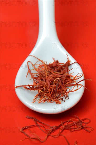 Saffron crocus