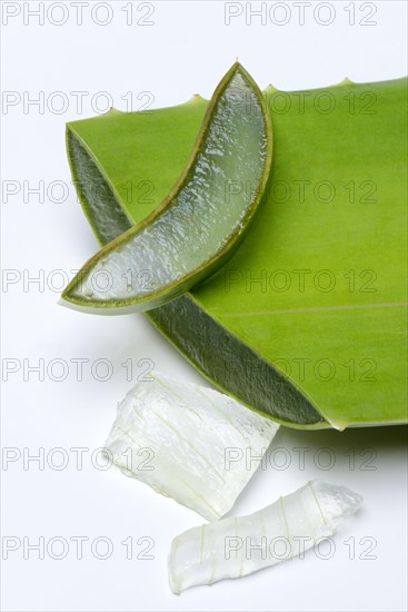 Aloe leaf discs and cut leaf