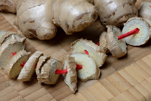 Ginger Tuber