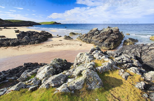 Sandy beach beach on the coast