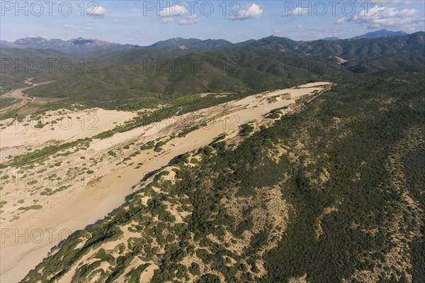 Sand dunes Dune di Piscinas