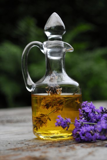 Lavender oil