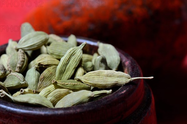 Cardamom