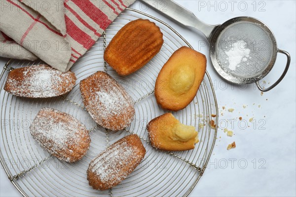 Madeleines on cake grid