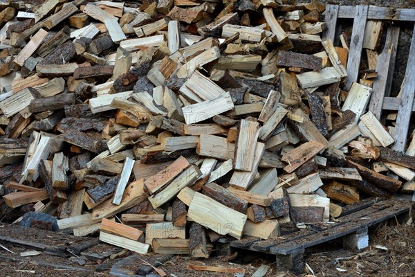Firewood