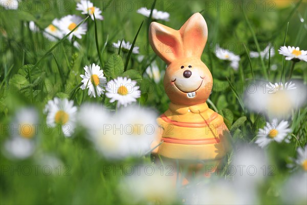 Easter bunny among daisies