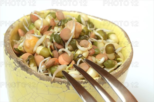 Mixed sprouts of lentils