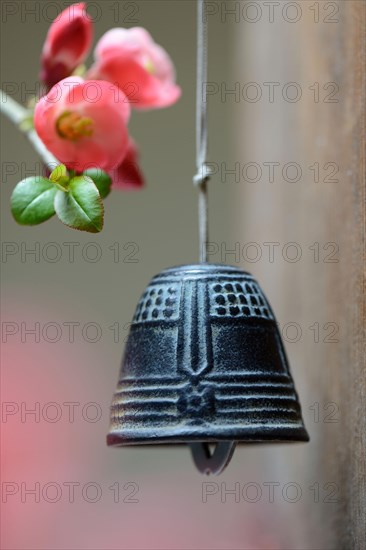 Bell with flower of an ornamental quince