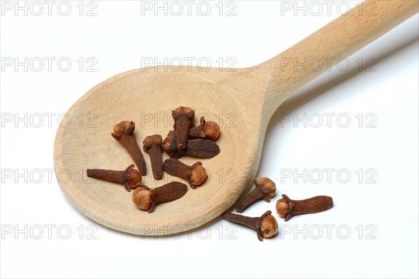 Cloves in cooking spoon
