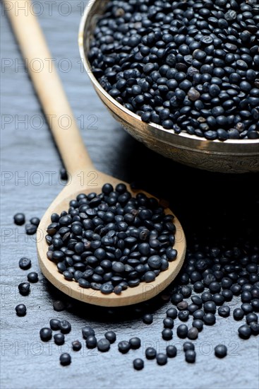 Beluga lentils in cooking spoon