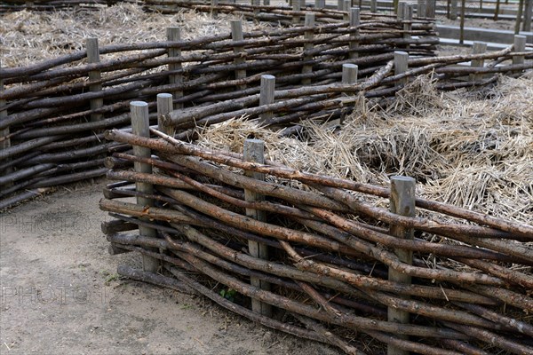 Wattle fence