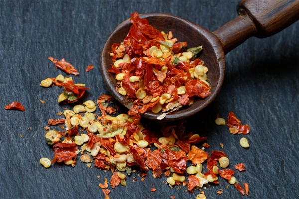 Dried chili peppers with wooden spoon